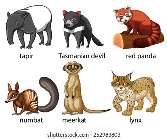 Illustration of six different kind of animals