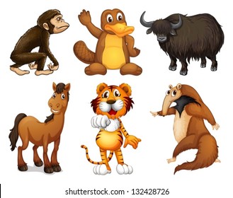 Illustration of the six different kinds of four-legged animals on a white background