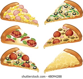 Illustration of six different style pizza slices.