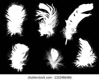 illustration with six feathers isolated on black background