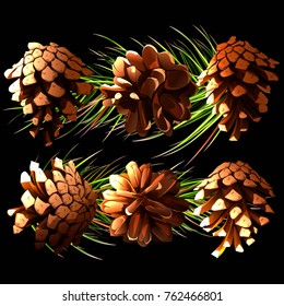 Illustration of six fir cones on black. Elements for different design purposes. Hand drawn, vector - stock.