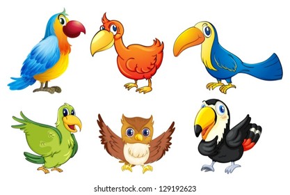 Illustration of six flying birds on a white background