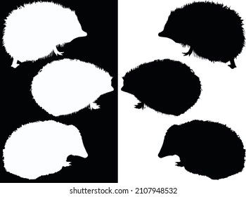 illustration with six hedgehogs black and white silhouettes