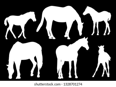 illustration with six horses isolated on black background