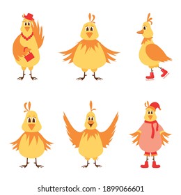 Illustration of six laying hens on a white background. Vector illustration.