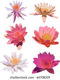 illustration with six lily flowers isolated on white background