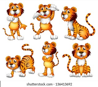 Illustration of the six positions of a tiger on a white background