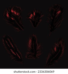 illustration with six red feathers isolated on black background