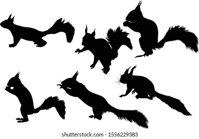 illustration with six squirrels isolated on white background