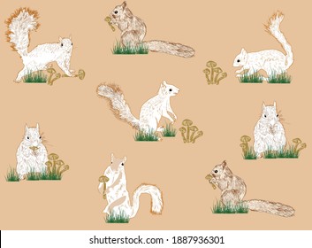 ilustração com seis esquilos isolados sobre fundo marrom