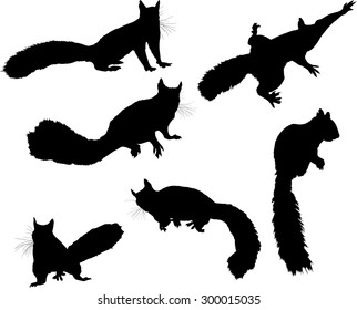 illustration with six squirrels isolated on white background