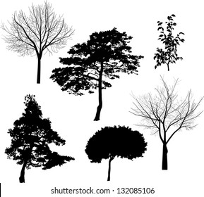 Illustration Six Tree Silhouettes Isolated On Stock Vector (Royalty ...