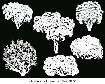 ilustración con seis árboles aislados en fondo negro