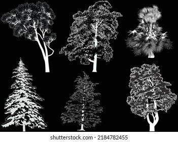 illustration with six trees isolated on black background