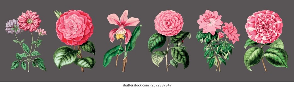 Illustration of six vibrant flowers with detailed petals and lush green leaves. Includes roses and orchids. Flowers are arranged in a row on a gray background. Illustrations, isolated vector set.