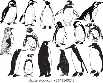 illustration with sixteen penguins isolated on black background