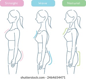 Ilustración del diagnóstico esquelético lateral