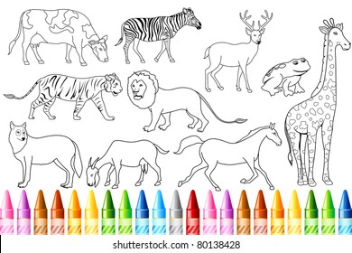 illustration of sketch of animal with colorful crayon for color book