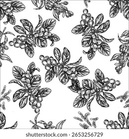 Illustration of a sketch of a background pattern of spice plants for traditional Indonesian and Asian cooking spices.