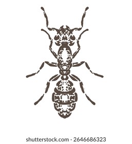 Ilustração de um esboço de uma corajosa formiga com uma representação muito legal e única