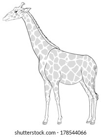 Illustration of a sketch of a giraffe on a white background