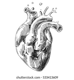 Illustration With Sketch Of Human Heart. Us For Print For T-shirt Smart Phone Poster Web.