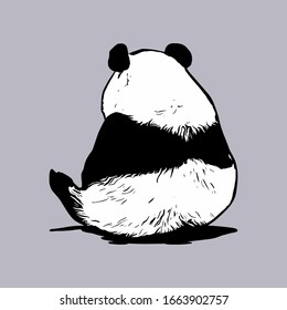 illustration sketch, panda look from behind, isolated on grey.