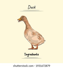 Illustration sketch and vector style of duck. Good to use for restaurant menu, Food recipe book, and food ingredients content.