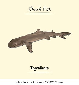 Illustration sketch and vector style of shark fish. Good to use for restaurant menu, Food recipe book, and food ingredients content.