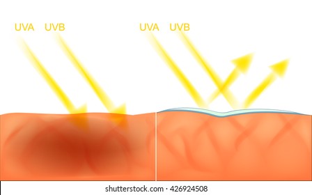 illustration of skin damage from the sun and protection UV filter