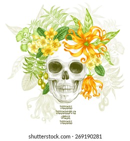 Illustration of the skull and exotic tropical flowers on a white background. Vector. Ylang.