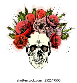 illustration with skull. hand draw.  vector.