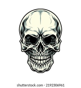 Illustration of skull, hand drawn line with digital color