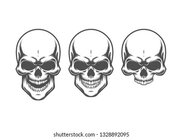 Illustration of skull. Isolated on white background.