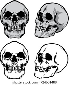 illustration of skull on white background