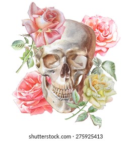 Illustration with skull and roses. Watercolor. Vector. Hand drawn.