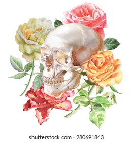 Illustration with skull and roses. Watercolor. Vector. Hand drawn.