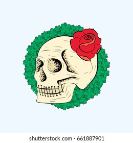 Illustration of the skull, skull sketch