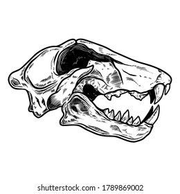 Illustration of skull of tiger in vintage monochrome style. Design element for logo, emblem, sign, poster, card, banner. Vector illustration