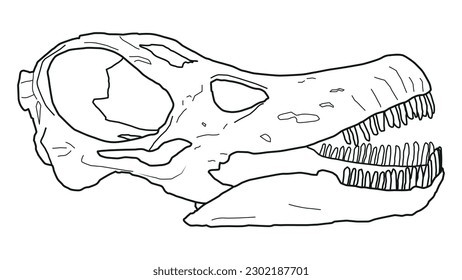 An illustration of the skull of a Titanosaur Patagotitan Mayorum. The largest land animal to ever exist