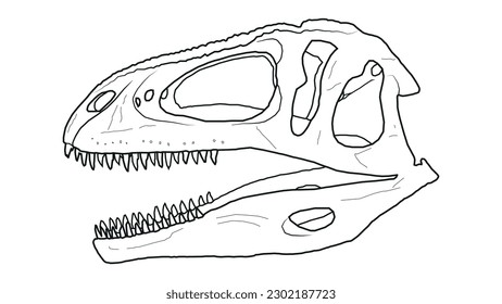 Eine Illustration des Schädels eines Tyrannotitan-Chubutensis. Ein fleischfressender Dinosaurier aus der frühen Kretatur