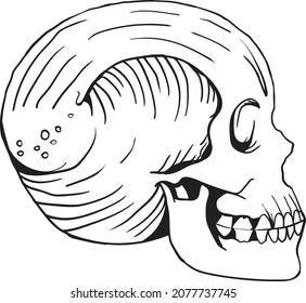 The illustration of skull vector.