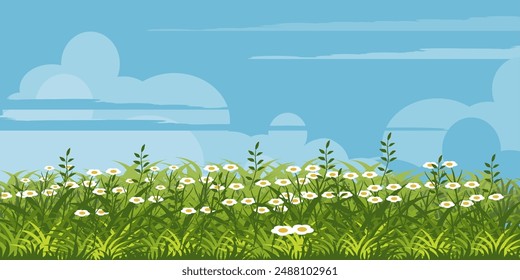 Illustration, sky clouds, green grass and flowers. grass vector collection in flat style. Spring green grass, green lawn. summer nature background with grass, flowers and blue sky with clouds