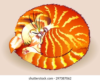 Illustration of a sleeping cat, vector cartoon image