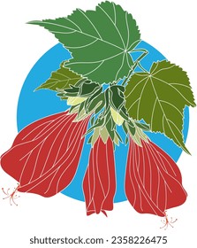 Illustration of Sleeping hibiscus, Wax Mallow flower with leaf on blue circle background. Scientific name Malvaviscus arboreus Cav. var. drummondii (Torr. A.Gray) Schery.