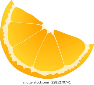 illustration of a slice of fresh orange