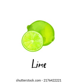 Illustration of a slice lime isolated on a white background