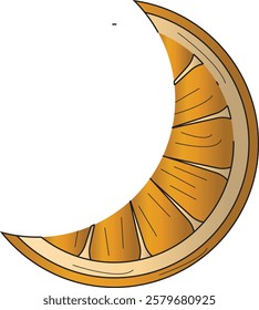 the illustration of the slice of orange fruit.