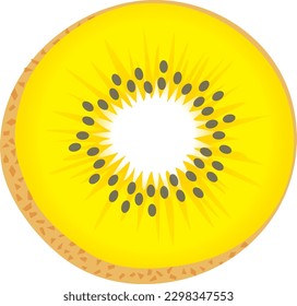 Illustration of the sliced gold kiwi fruit