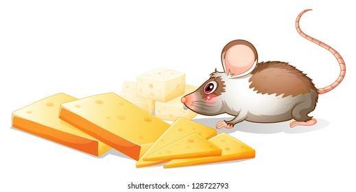 Illustration of the slices of cheese with a mouse on a white background
